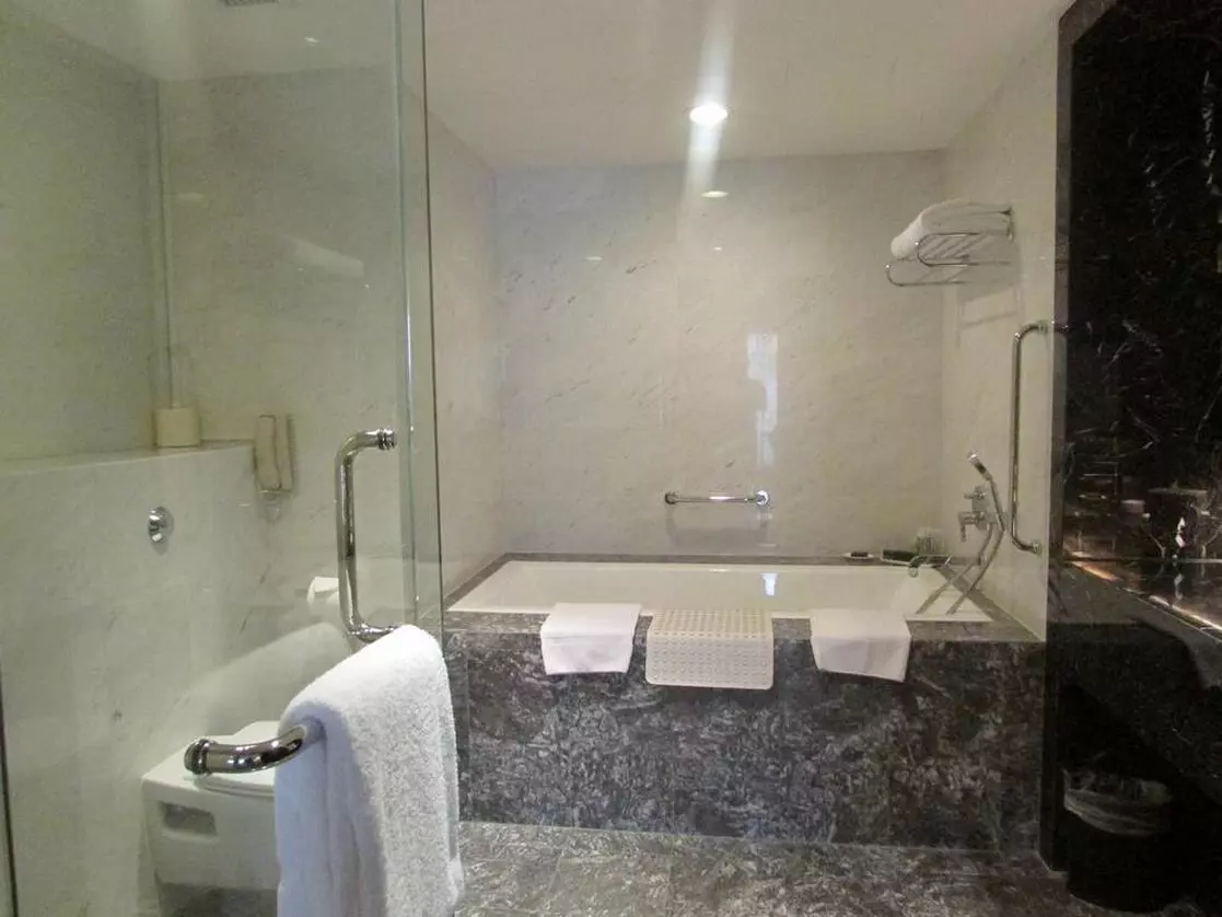 Concorde Hotel Singapore shower (Copy).jpg